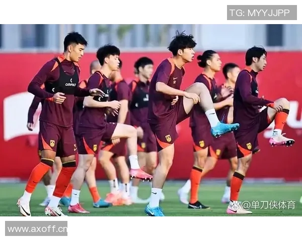 武汉足球队节奏引发热议球迷与专家观点交锋解析赛事争议